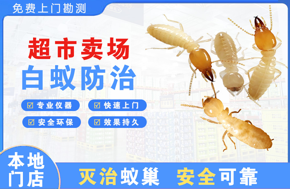 玉环超市卖场白蚁防治