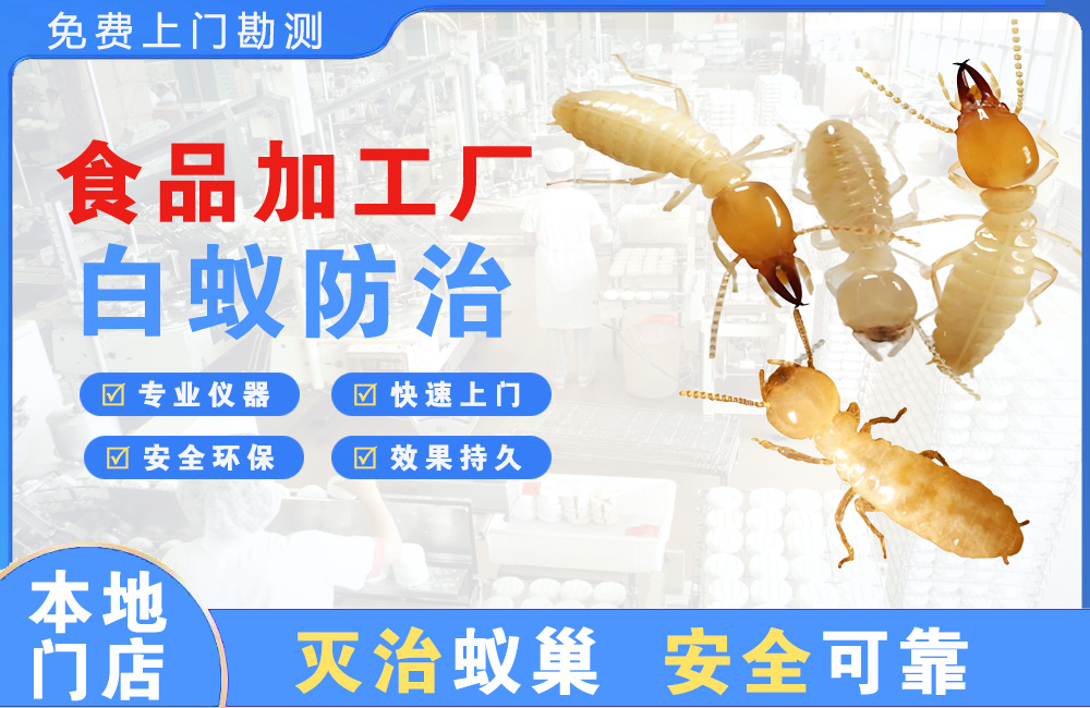 玉环食品加工厂白蚁防治