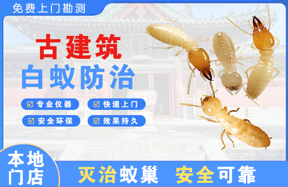 玉环古建筑白蚁防治