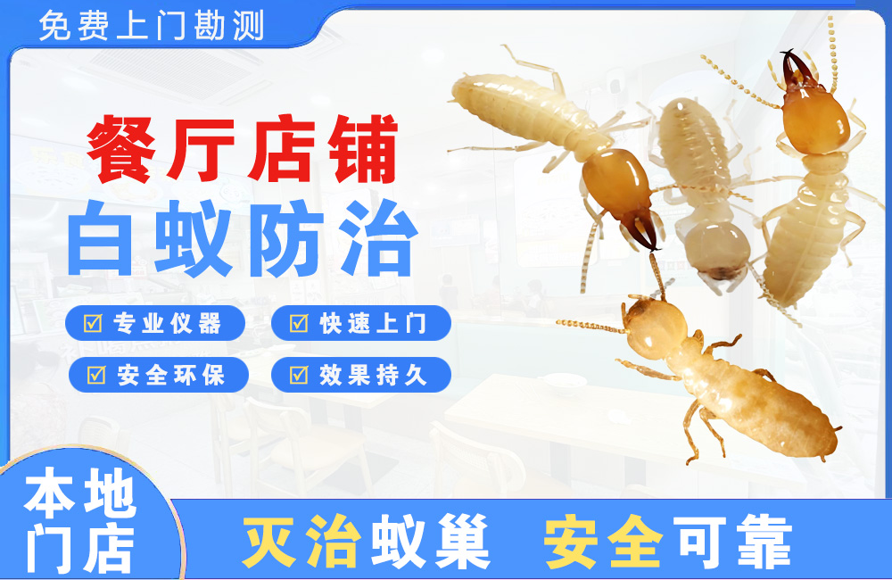 玉环餐厅店铺白蚁防治